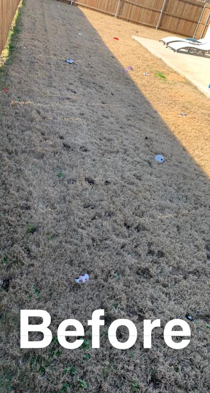 Pet Waste Removal