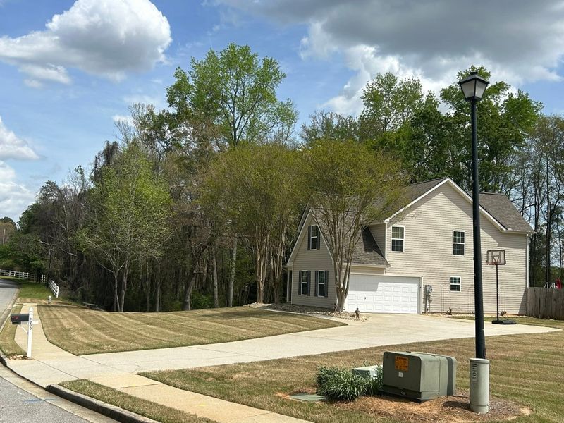 Lawn Maintenance