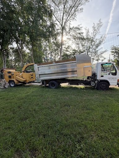 Tree Removal