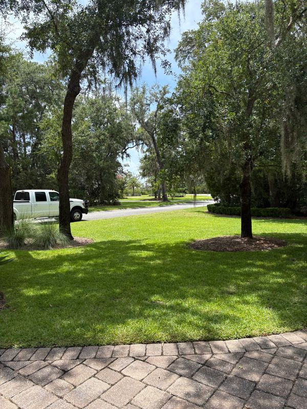 Lawn Maintenance