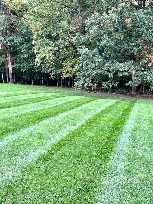 Fertilization and Weed Control Programs