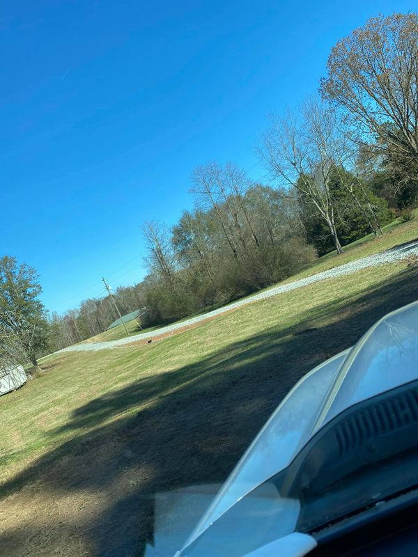 Land Clearing