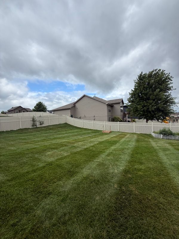 Lawn Maintenance