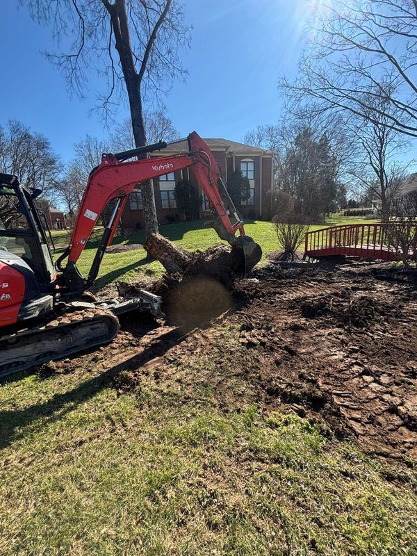 Excavation