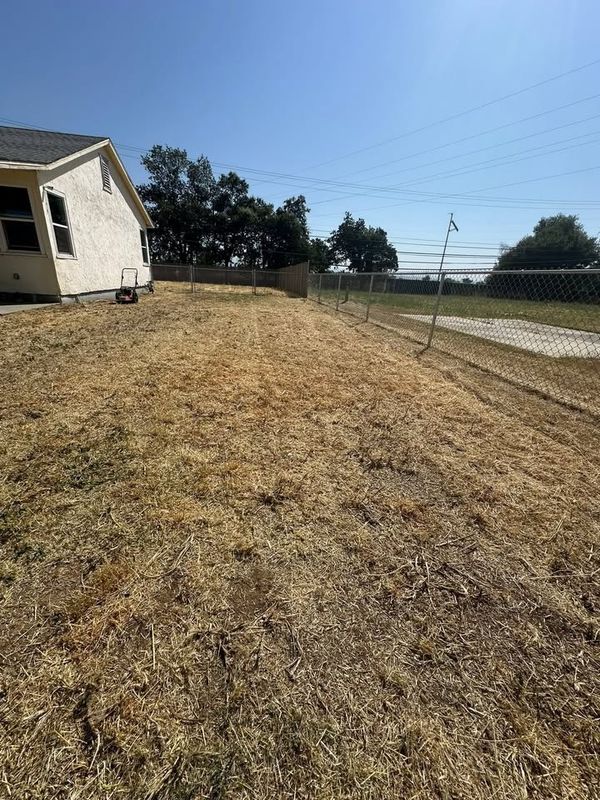 Lawn Maintenance