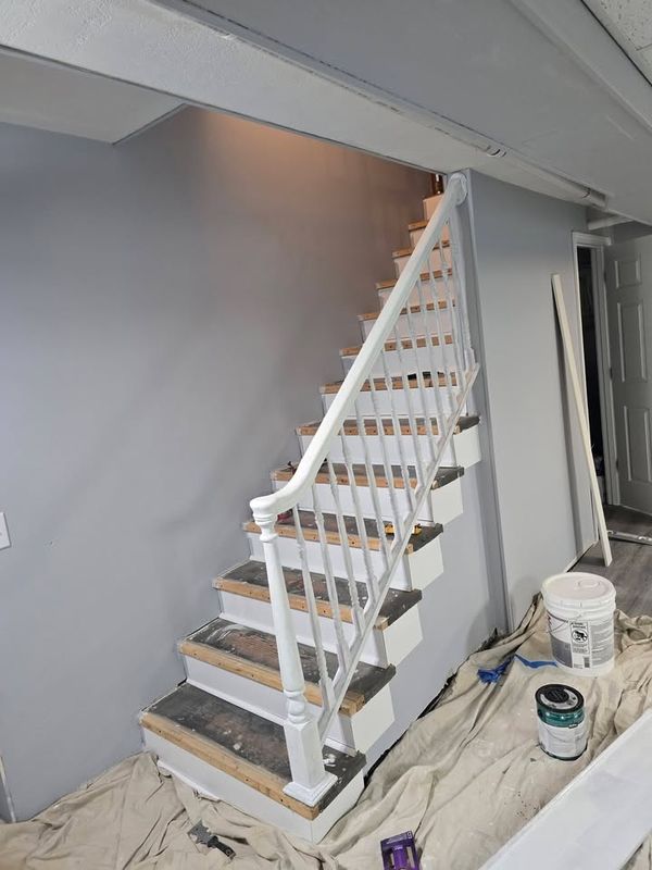 Basement Renovation