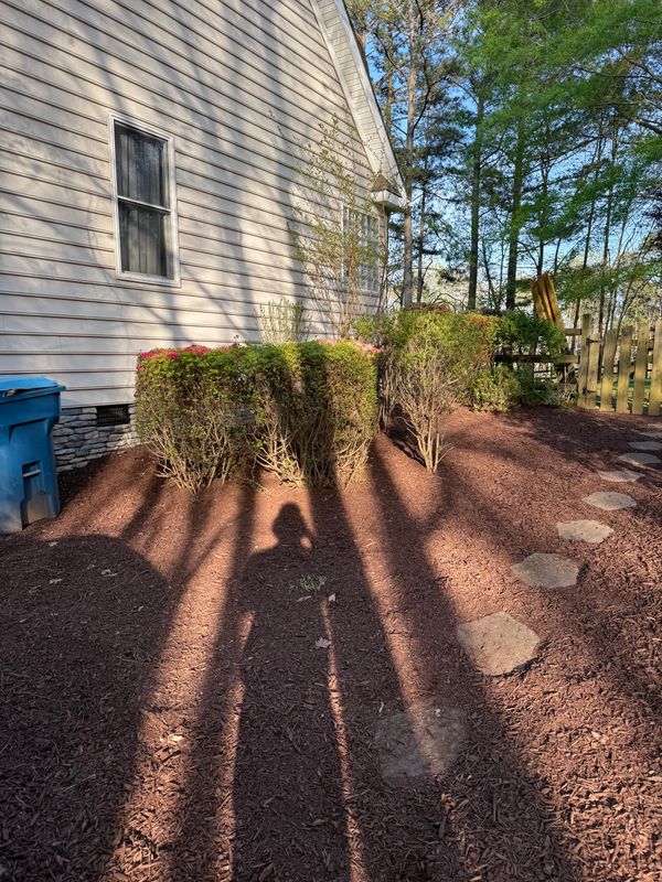 Shrub Trimming