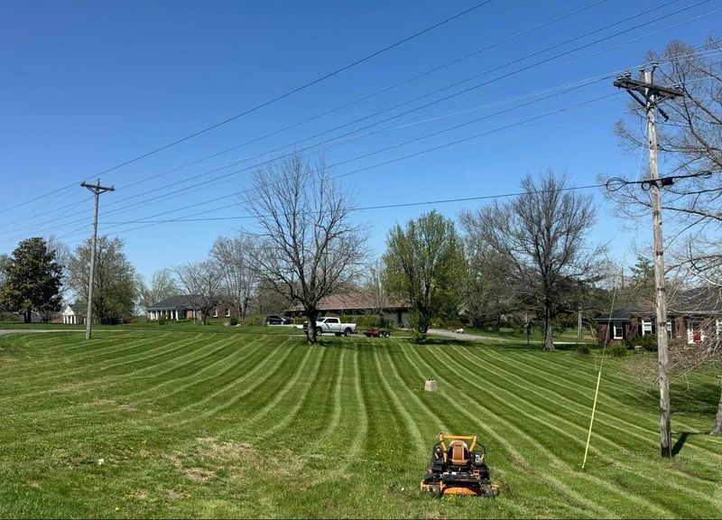 Lawn Mowing