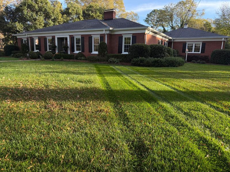 Lawn Care