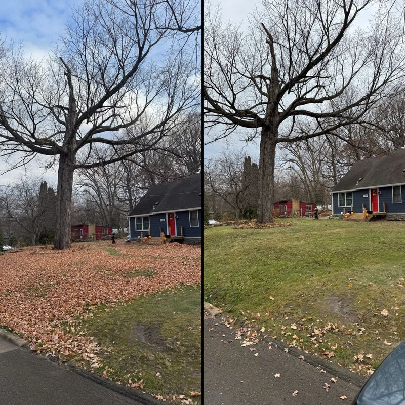 Fall Cleanup