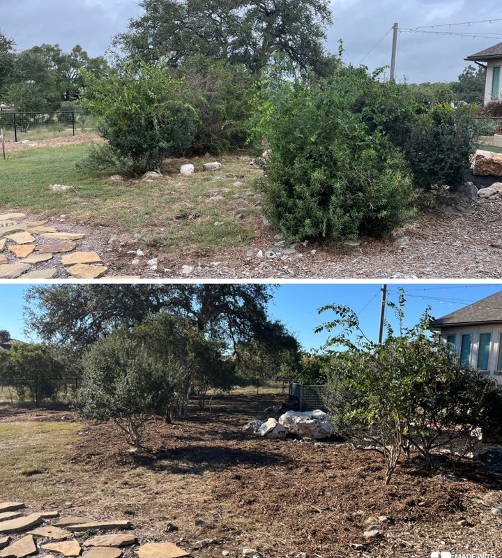 Tree Trimming & Land Clearing