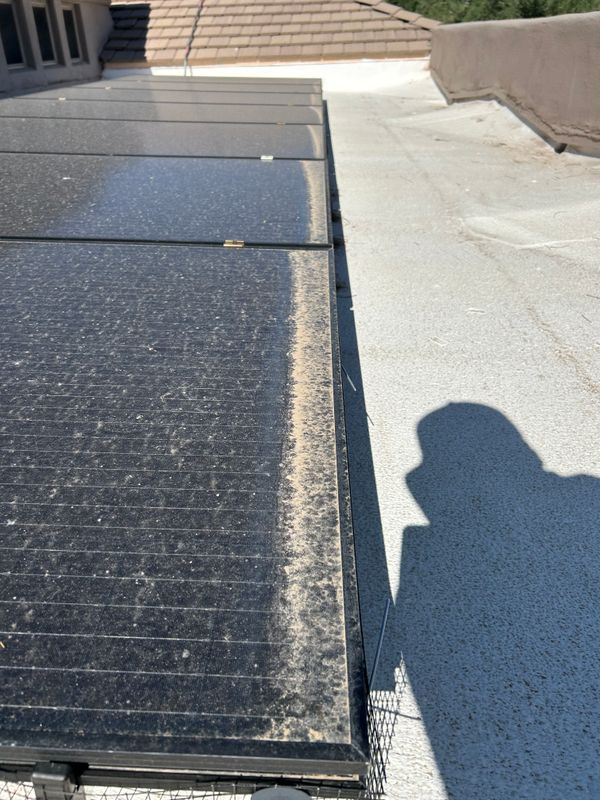 Bird Proofing