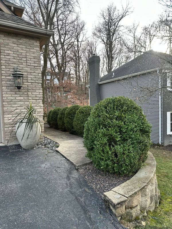 Shrub Trimming