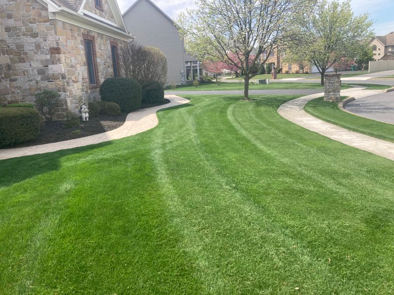 Lawn Maintenance