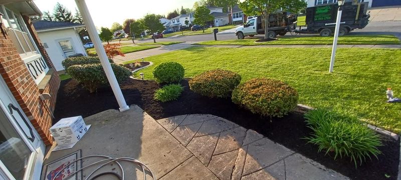 Landscape Installation & Design Photo