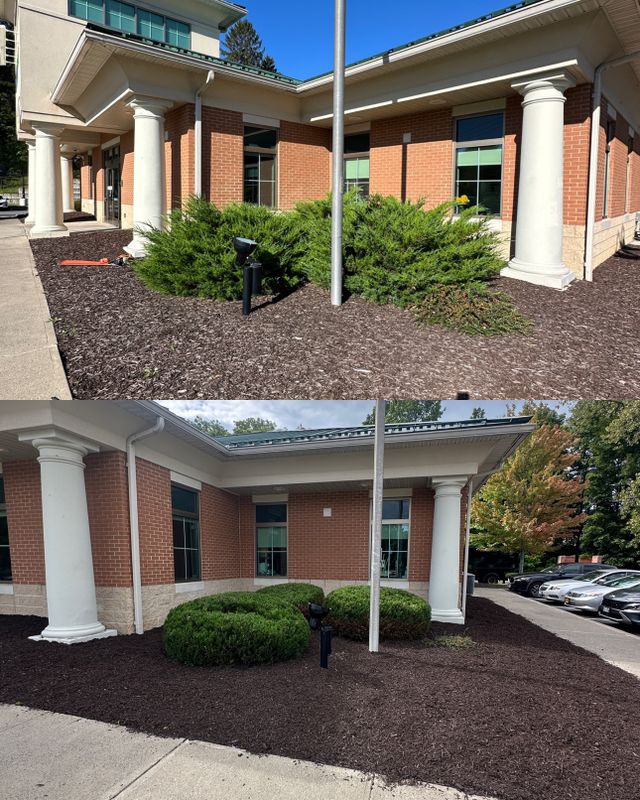 Landscaping