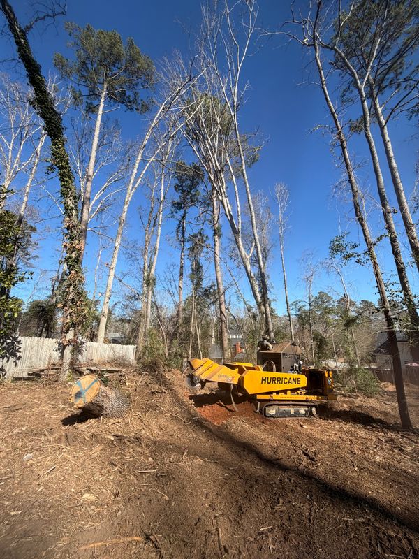 Stump Excavation