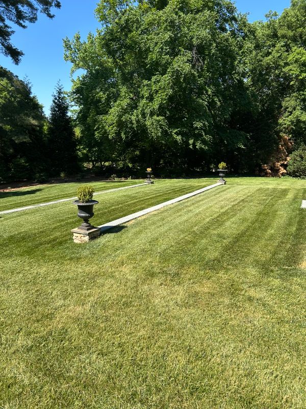 Lawn Mowing