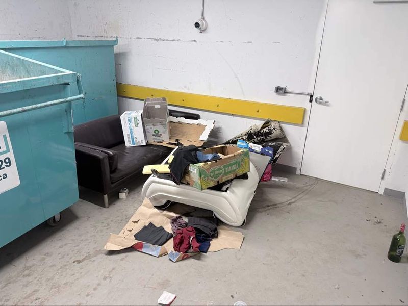 Junk Removal