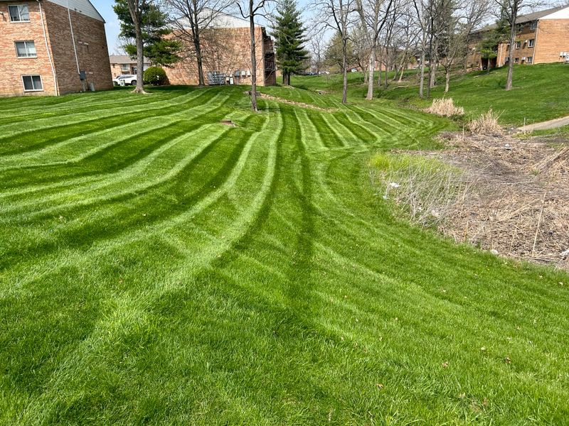 Our Mowing