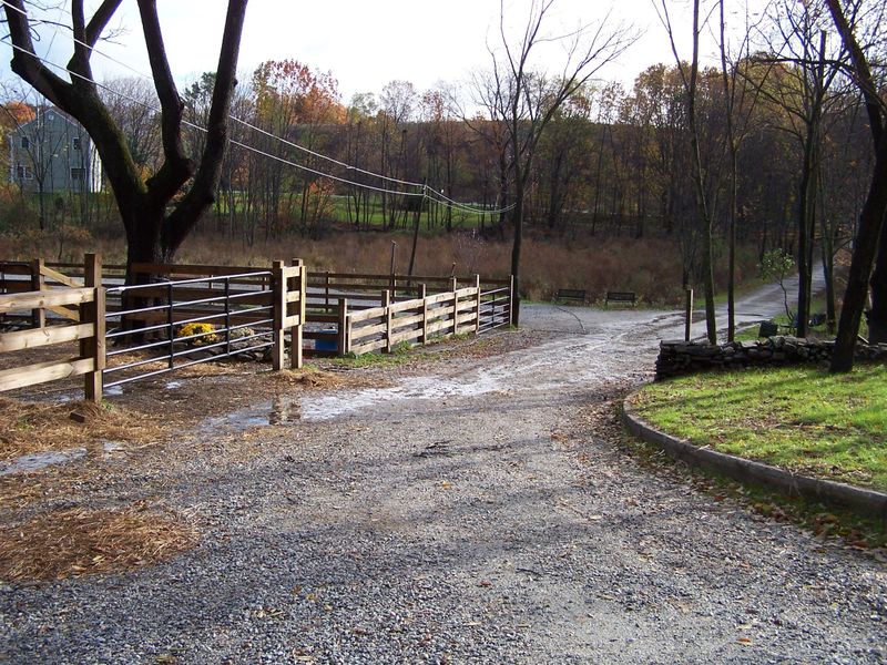 Fence Repair