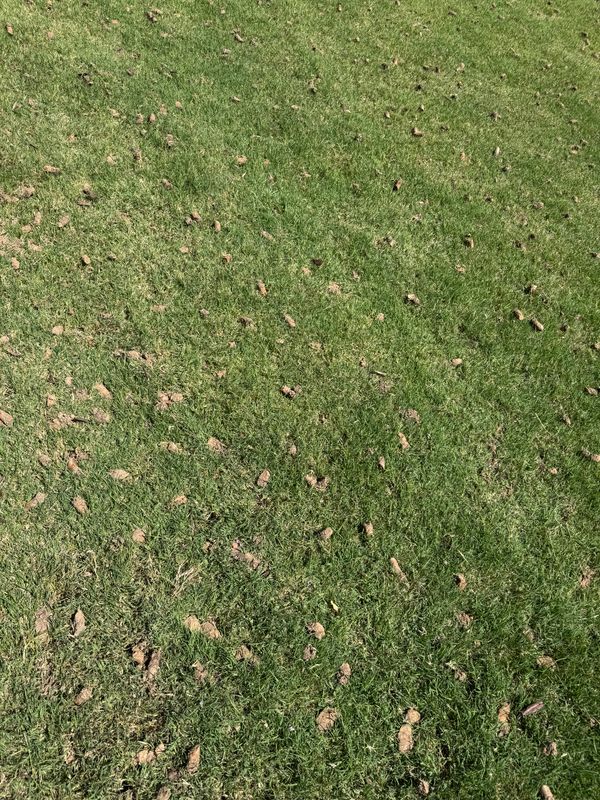 Aeration Gallery