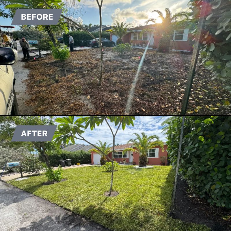 SOD Installation 