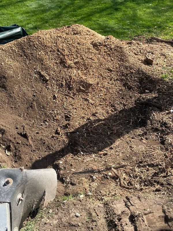Stump Removal