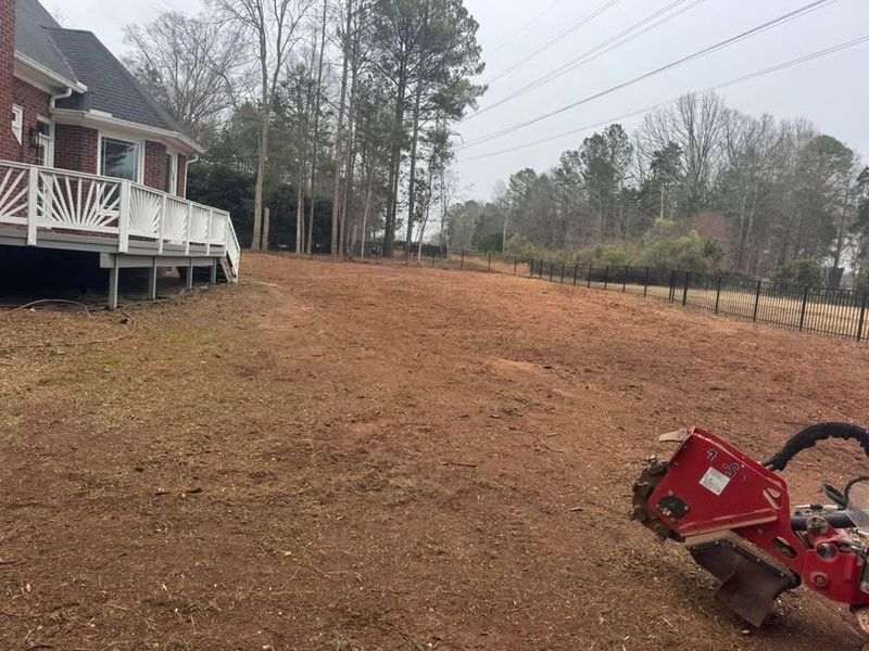 Stump Removal
