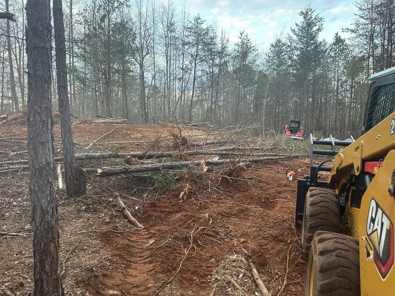 Skid Steer Dirt Work