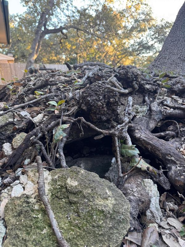 Stump Removal