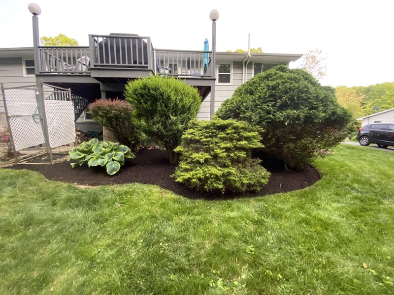 Landscape Maintenance gallery