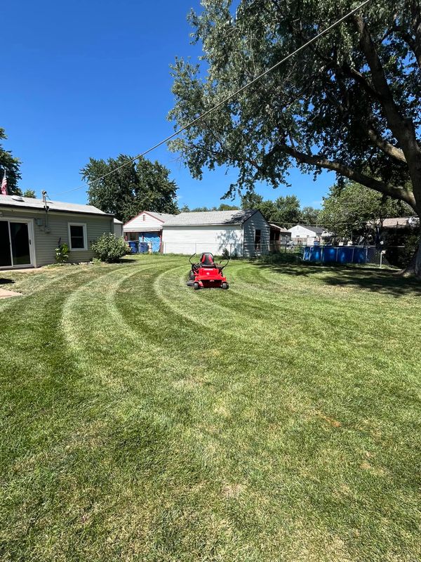 Lawn Maintenance