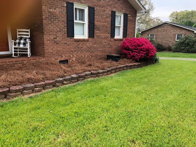 Shrub Trimming