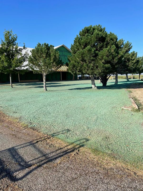 Hydromulch