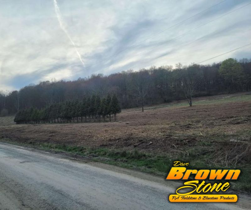 Land Clearing