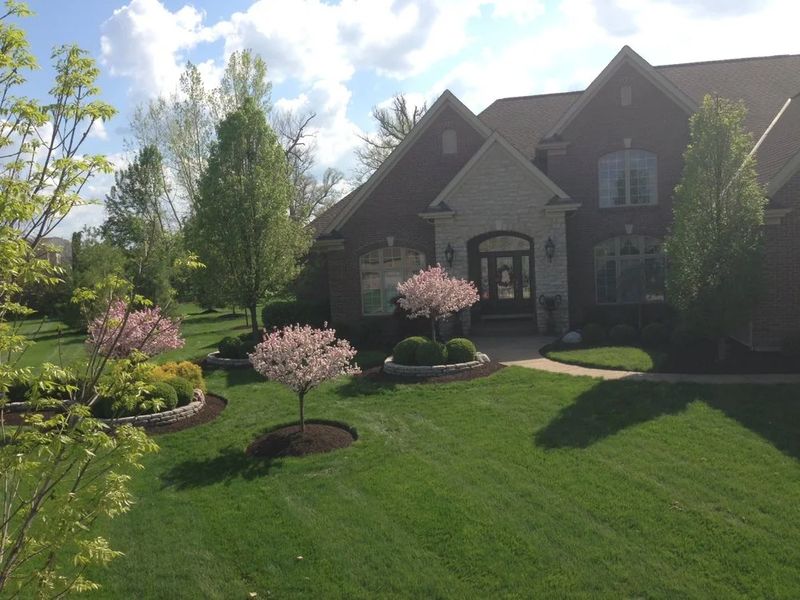 Tree Pruning