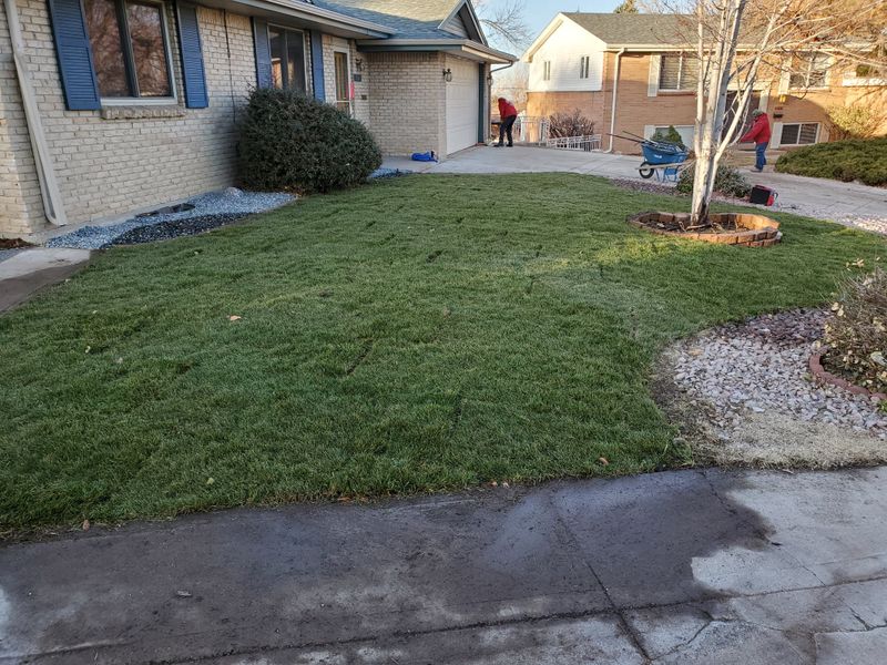 Landscaping