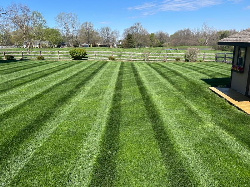 Lawn Care & Maintenance