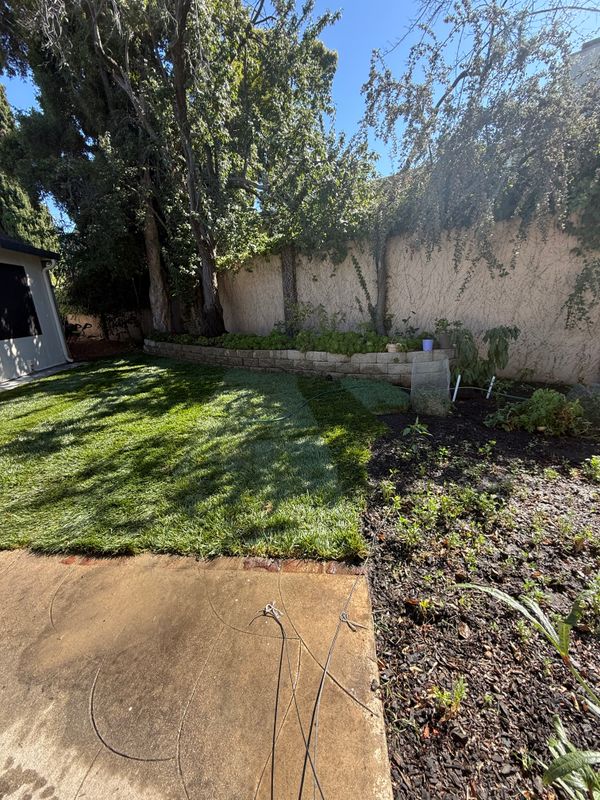 Landscaping