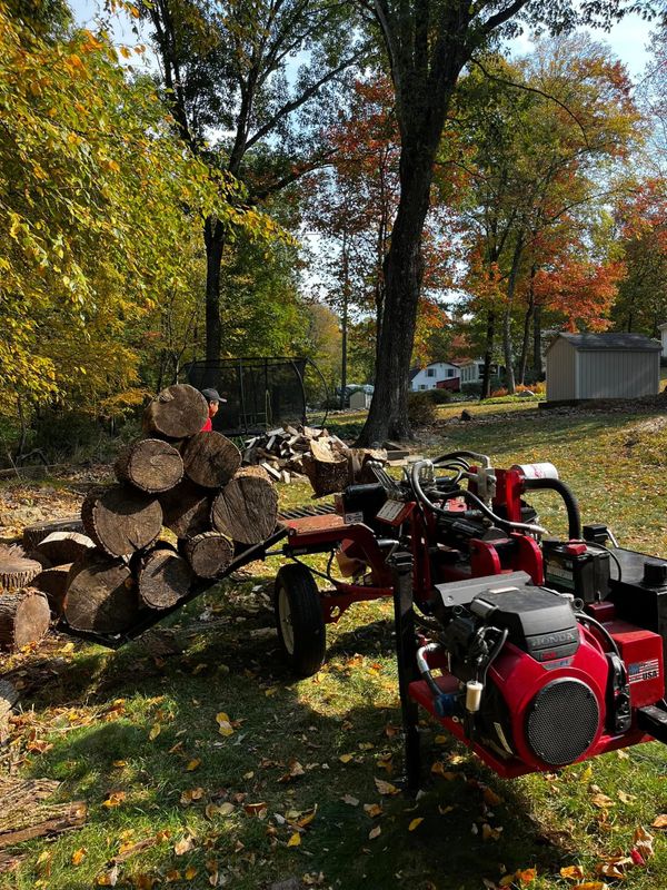 Tree Removal