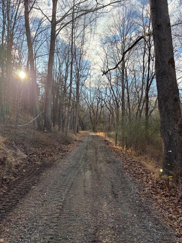 Driveway Regrading