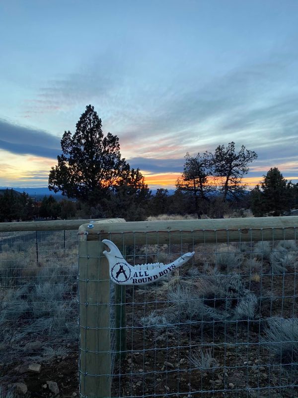 Fences