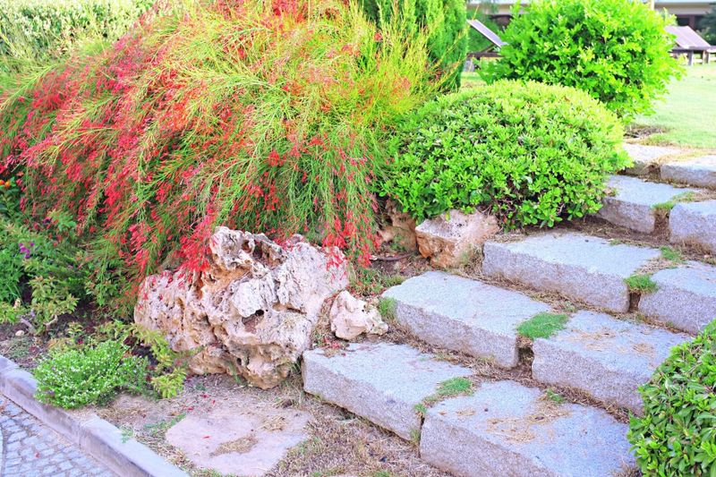 Paver and Stone Walkways