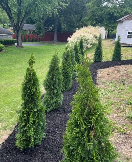 Landscape Installation