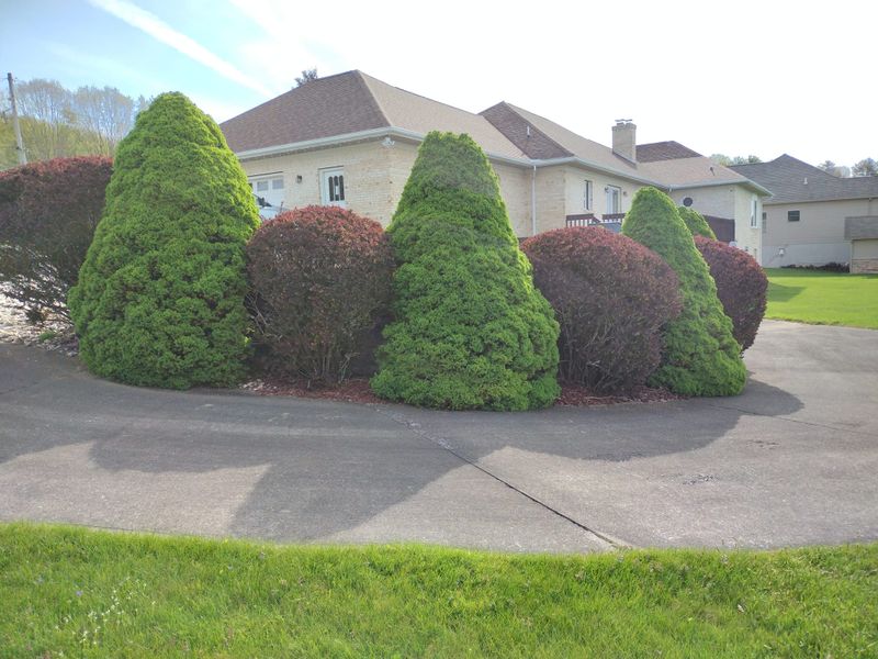 Shrub Trimming