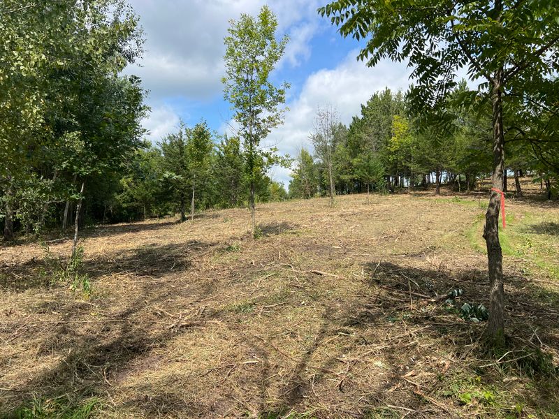 Forestry mulching