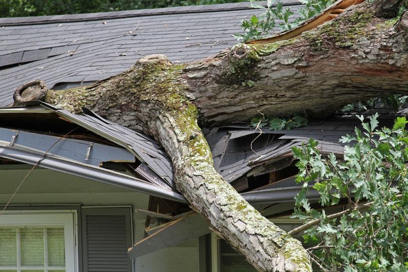 Storm and Hurricane Restoration