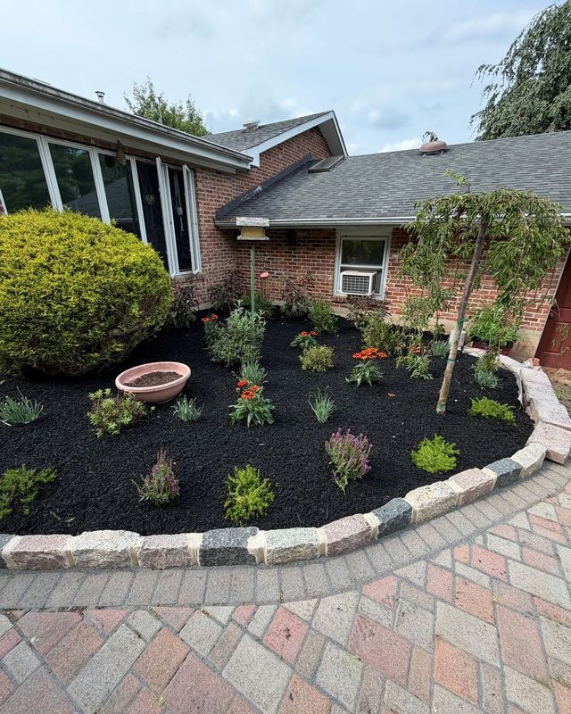 Garden Design & Landscaping
