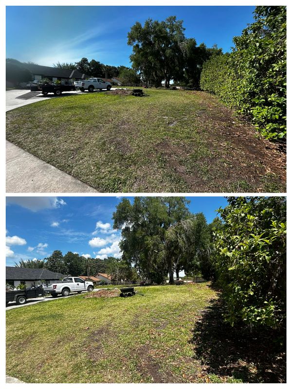 Yard Maintenance & Cleanup